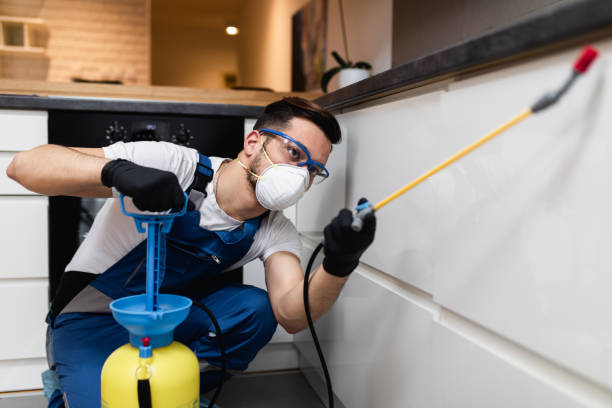 Best Mosquito Control Services  in South Laurel, MD