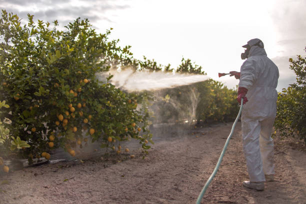Best Residential Pest Control  in South Laurel, MD
