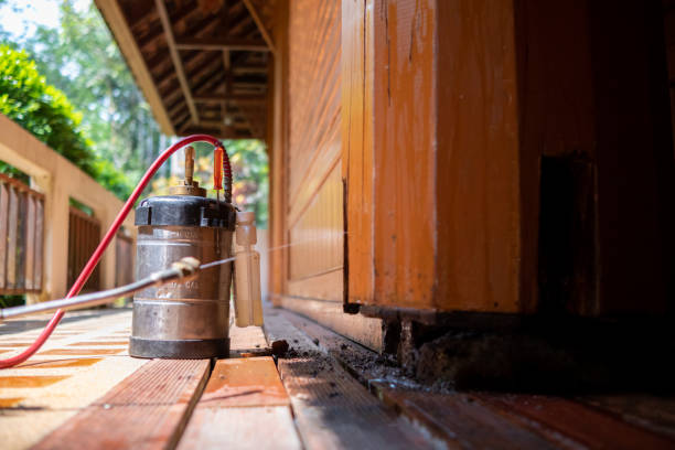 Best Best Pest Control Companies  in South Laurel, MD