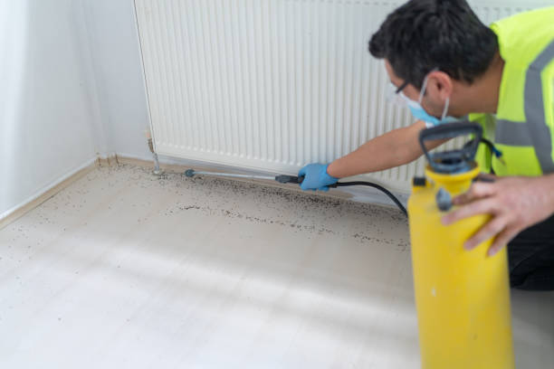 Best Pest Control Treatment  in South Laurel, MD