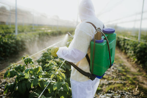  South Laurel, MD Pest Control Pros